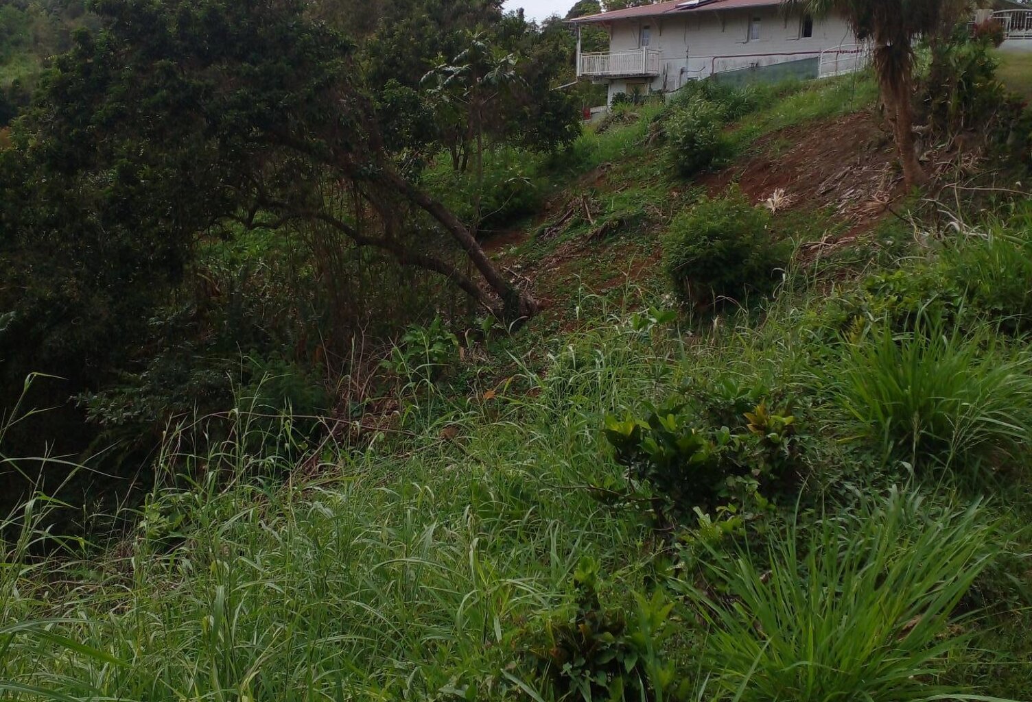 Urgent à vendre terrain de 1732 m² à St Esprit — photo 1