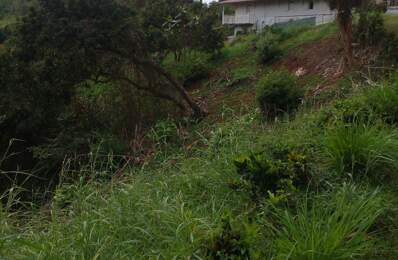 Urgent à vendre terrain de 1732 m² à St Esprit — photo du bien
