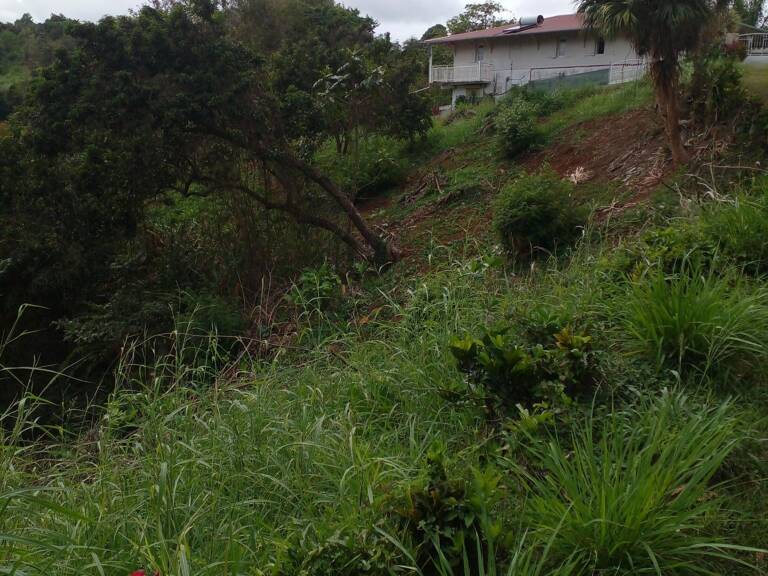 Urgent à vendre terrain de 1732 m² à St Esprit — photo 1