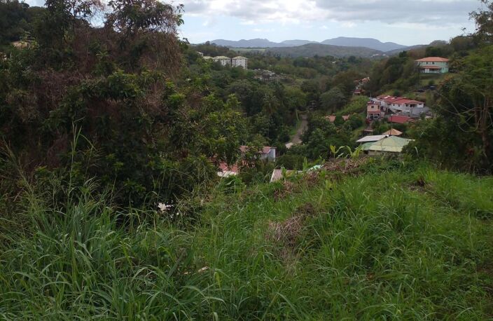 Urgent à vendre terrain de 1732 m² à St Esprit — photo 2