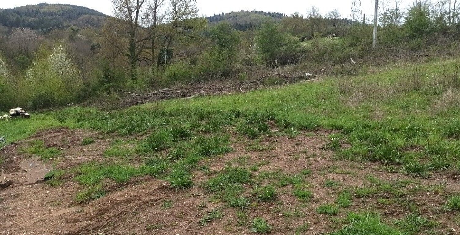 Terrain à bâtir — photo 1