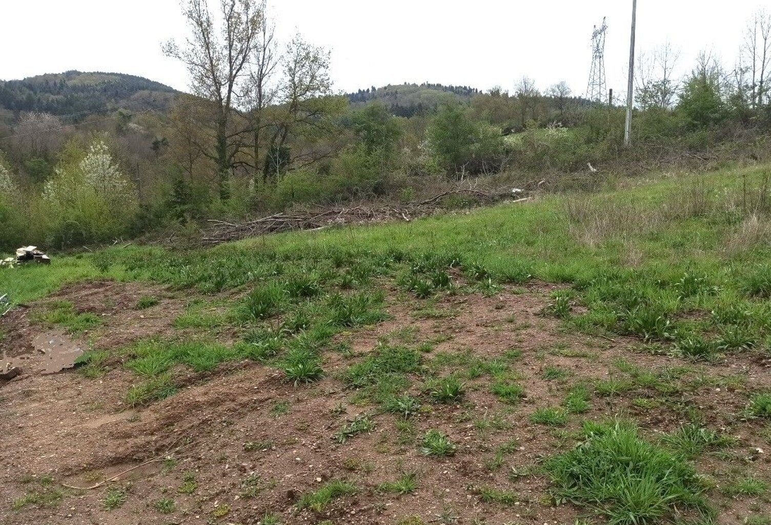 Terrain à bâtir — photo 1