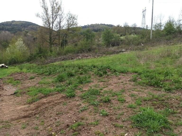Terrain à bâtir — photo 1
