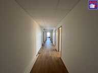 BUREAUX NEUFS PAMIERS — photo 2