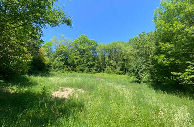 Saint Nizier du Moucherotte Terrain  constructible 1800 m2 environ — photo du bien