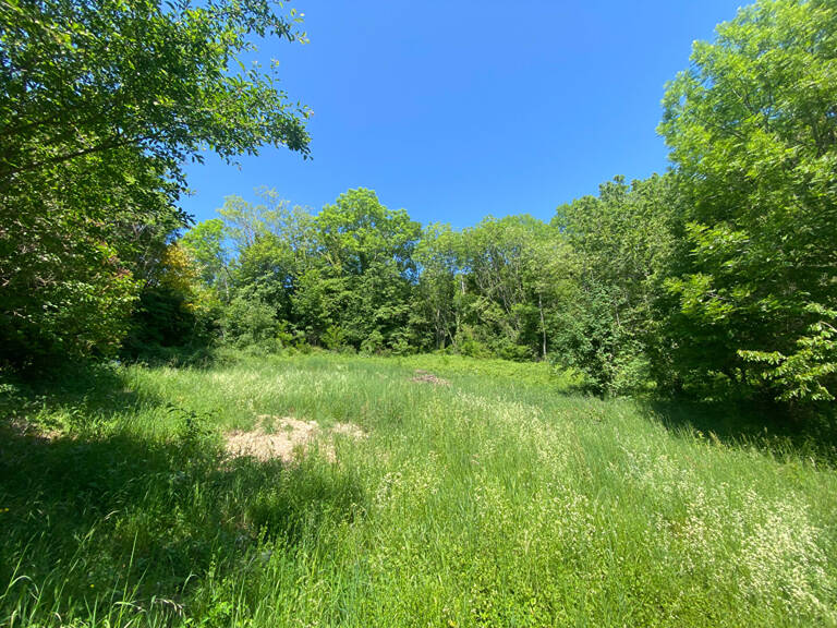 Saint Nizier du Moucherotte Terrain  constructible 1800 m2 environ — photo 1