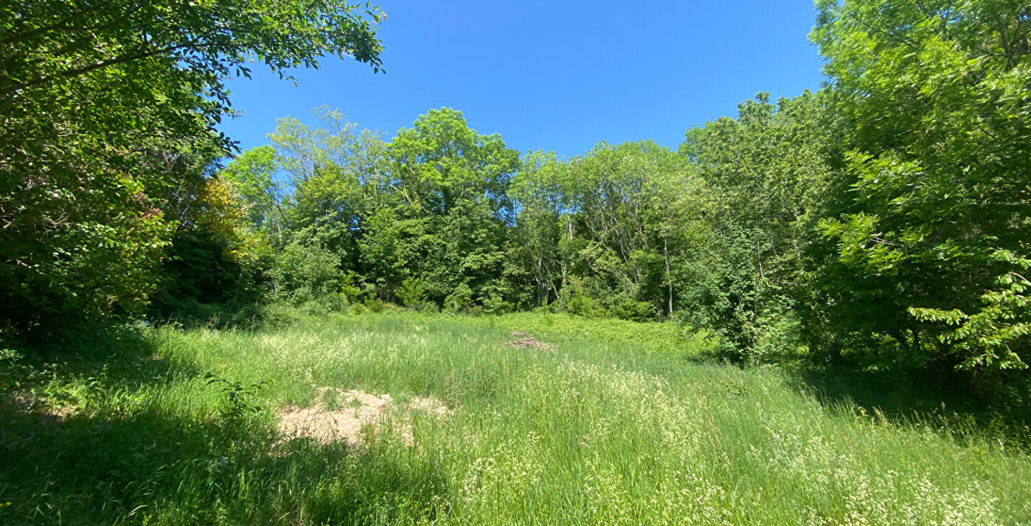 Saint Nizier du Moucherotte Terrain  constructible 1800 m2 environ — photo 1