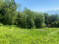 Saint Nizier du Moucherotte Terrain  constructible 1800 m2 environ — photo 2