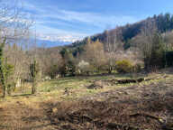 Saint Nizier du Moucherotte Terrain  constructible 1800 m2 environ — photo 4