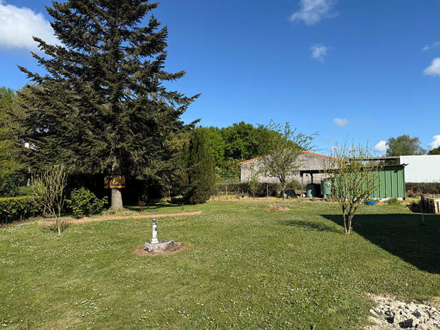 Terrain dans le bourg du CELLIER — photo du bien