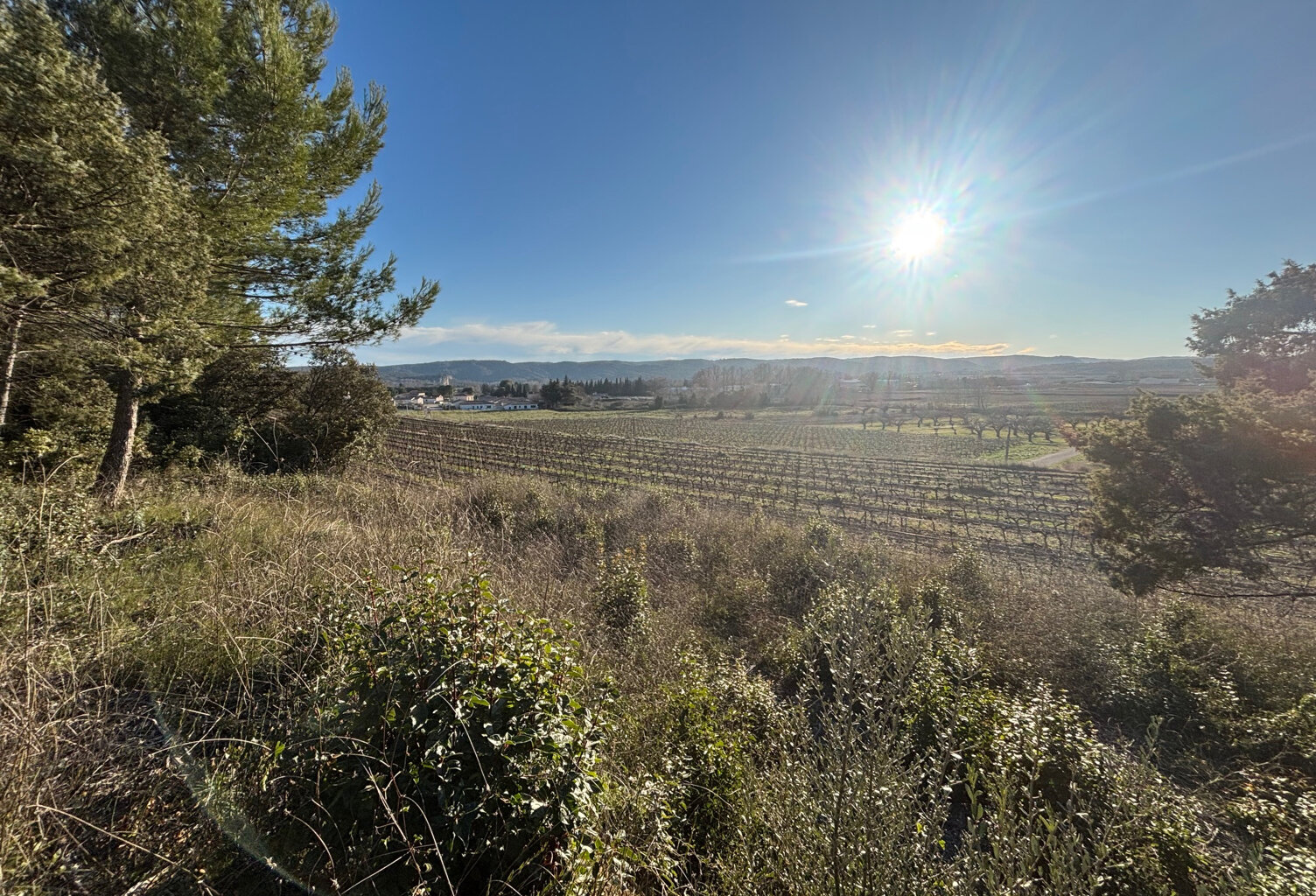 Terrain Vers-Pont-du-Gard, superbe vue dominante — photo 1