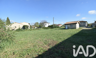 Photo N° 2