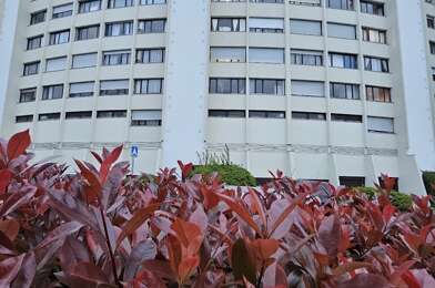 Appartement 1 pièces 650 €