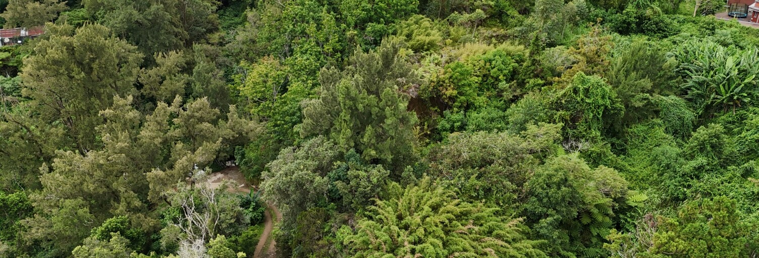 Terrain  1250 m² à vendre à Saint-Denis (97400)