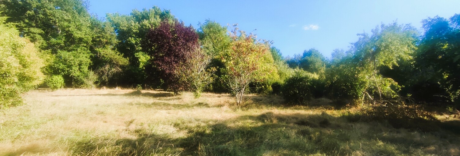 Terrain  600 m² à vendre à Montauban (82000)