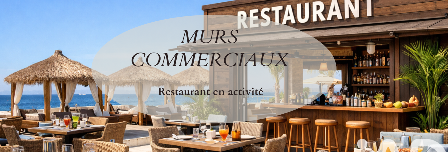 Commerce  120 m² à vendre à Fleury (11560)