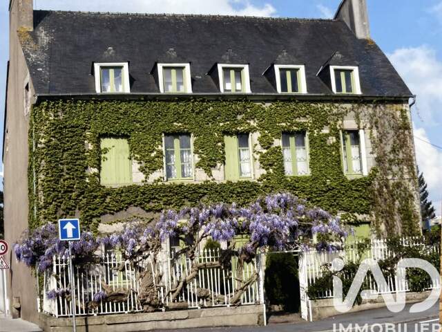 Vente Maison traditionnelle 14 pièces — photo du bien