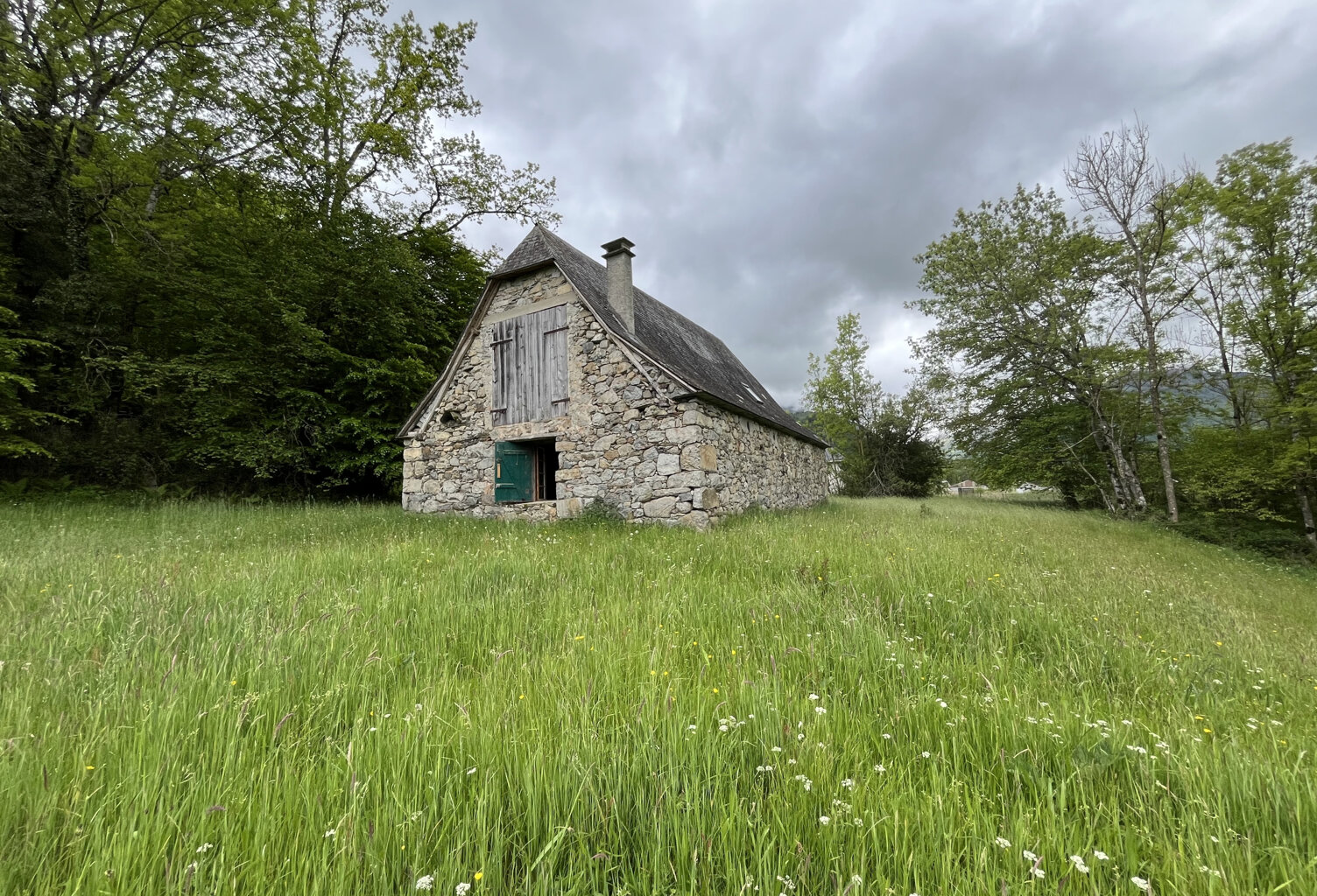 GRANGE FORAINE ET TERRAIN — photo 1