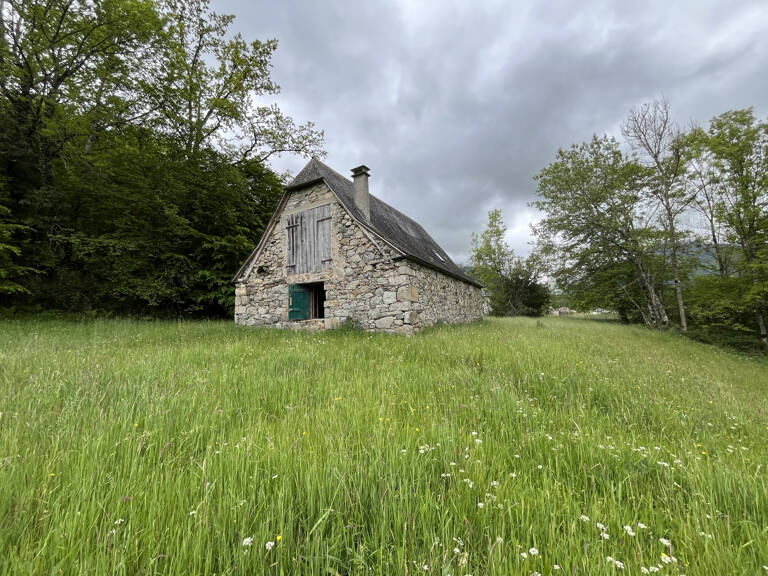 GRANGE FORAINE ET TERRAIN — photo 1
