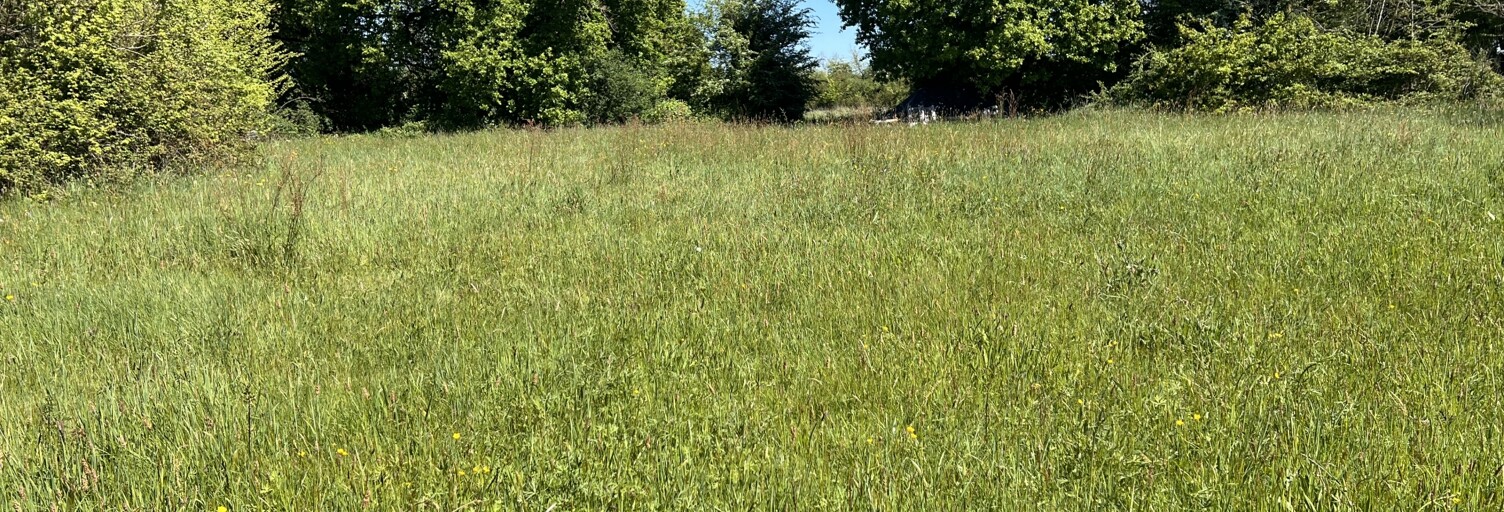 Terrain  2685 m² à vendre à Charroux (86250)