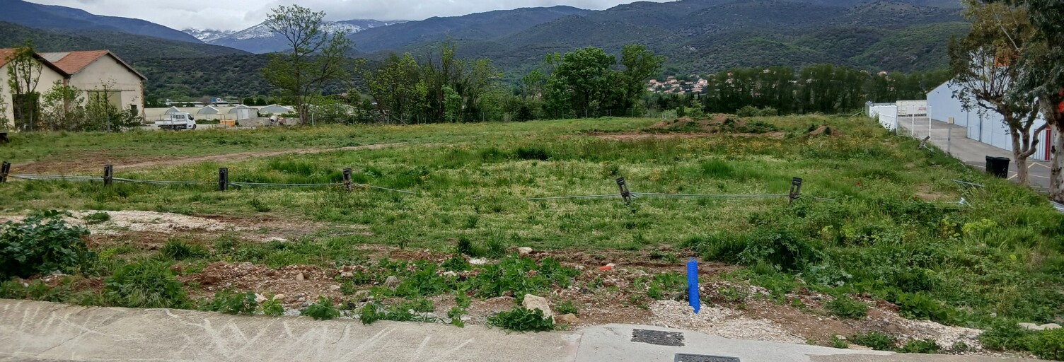 Terrain  7984 m² à vendre à Prades (66500)