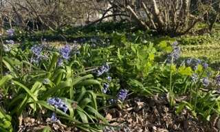 Terrain  430 m² à vendre à Libourne (33500)