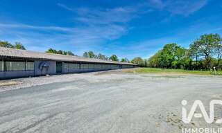 Maison 7 Pièces 132 m² à vendre à Sainte-Anne-sur-Brivet (44160)