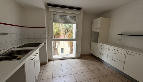 Appartement 4 pièces  à louer Marseille 8eme 13008