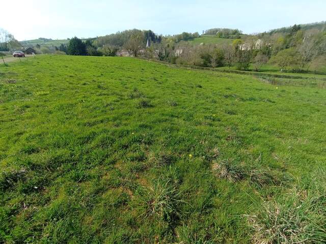 Terrain constructible borné viabilisé — photo du bien