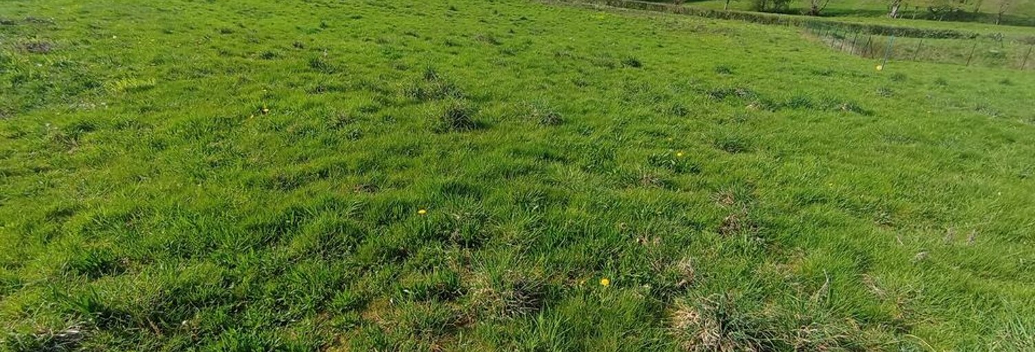 Terrain  1260 m² à vendre à Ferrières-sur-Sichon (03250)