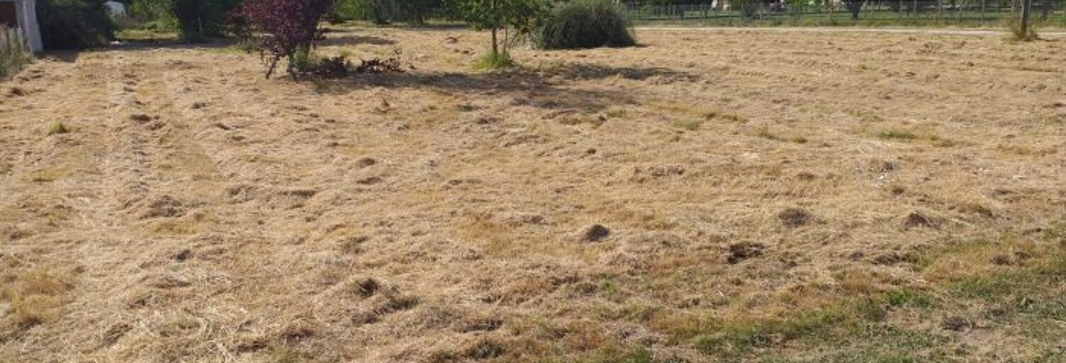 Terrain  2770 m² à vendre à Saint-Vivien-de-Médoc (33590)