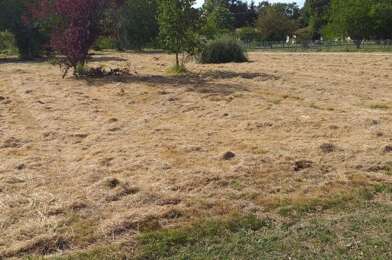 Terrain  80000 €