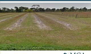 Terrain  1660 m² à vendre à Saint-Savin (33920)