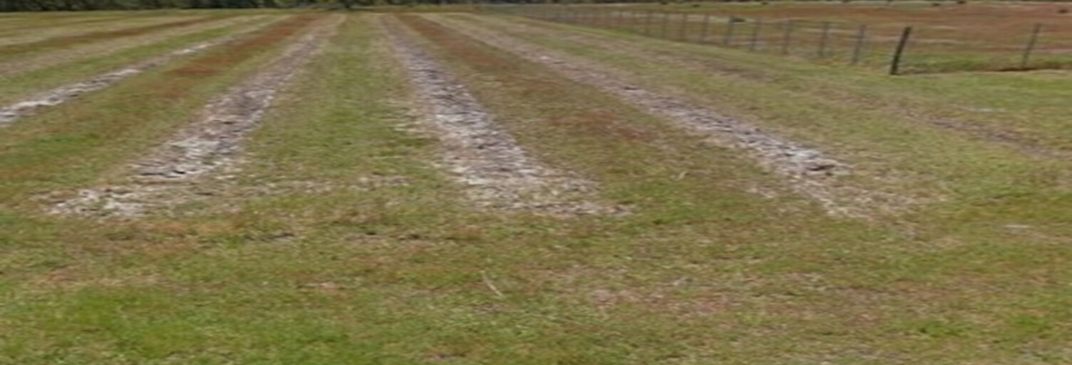 Terrain  1660 m² à vendre à Saint-Savin (33920)