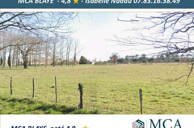 Terrain  39000 €