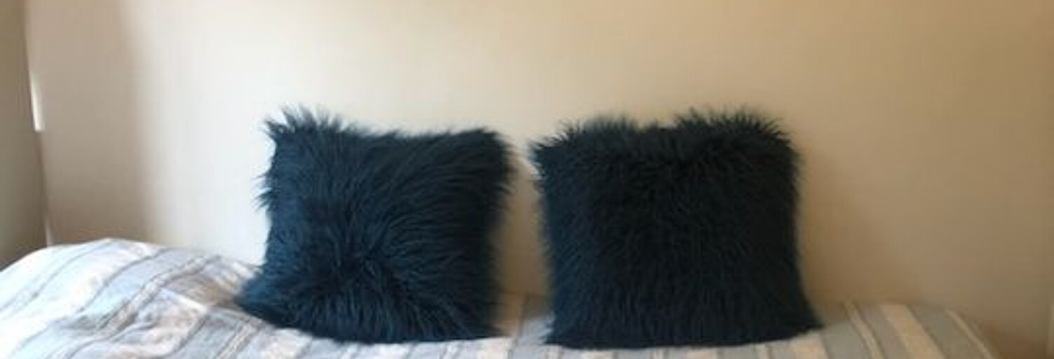 Appartement 1 Pièce 18 m² à louer à Saint-Maur-des-Fossés (94100)