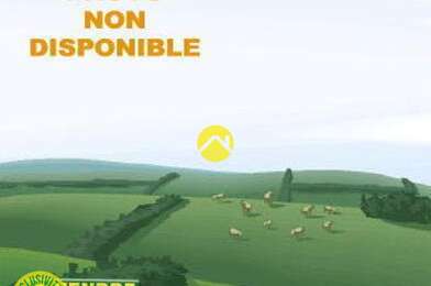 Maison 1 pièces 45000 €
