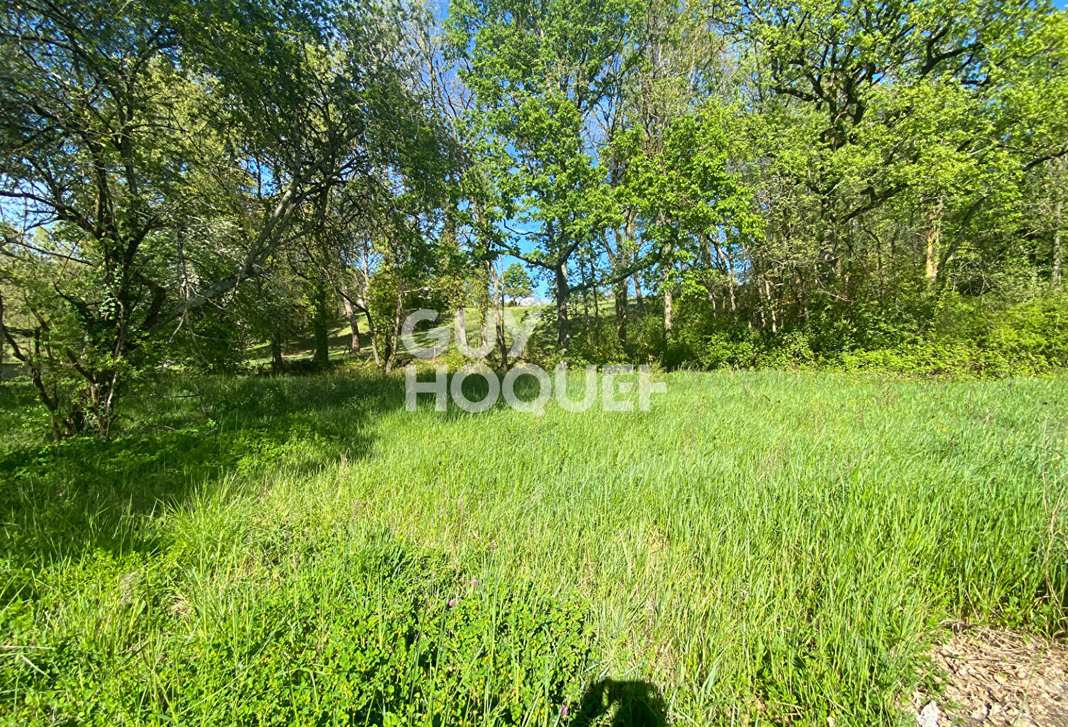 Terrain Fronton 1063 m2 5 mn centre ville — photo 1
