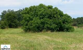 Terrain  1403 m² à vendre à Dolus-d'Oléron (17550)