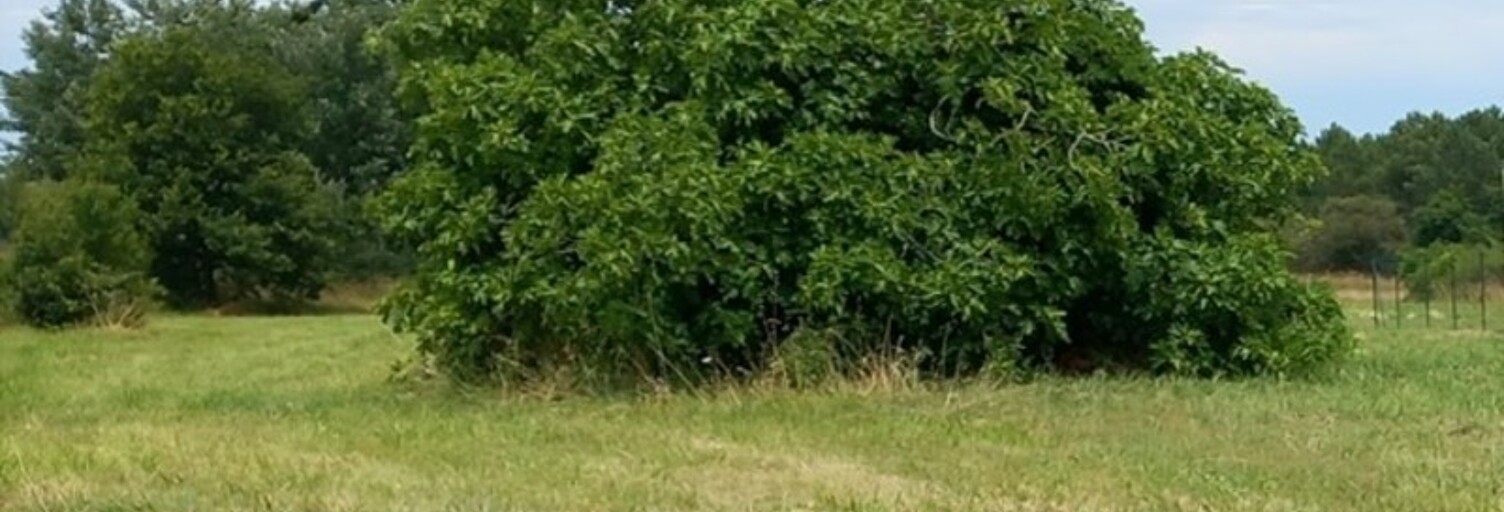 Terrain  1403 m² à vendre à Dolus-d'Oléron (17550)