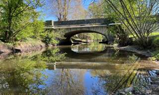 Photo N° 2