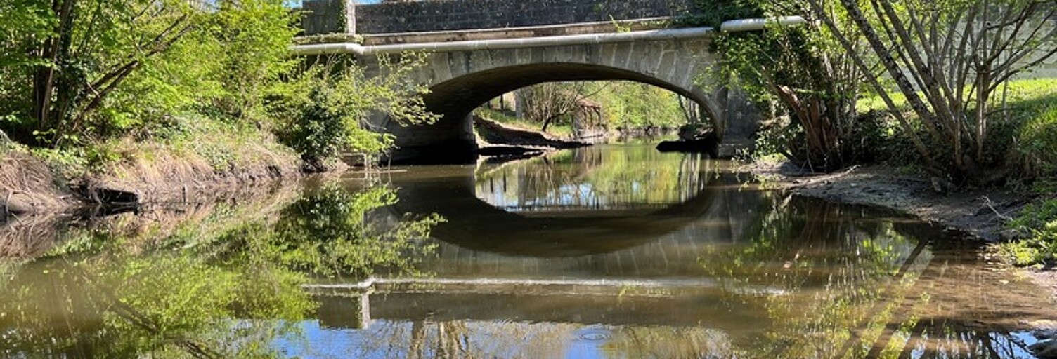 Photo N° 2
