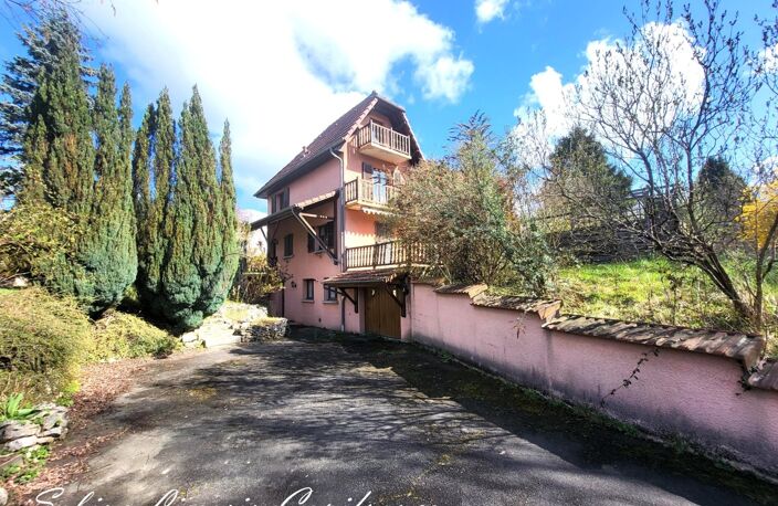 Maison à vendre 10 pièces COURCELLES LES MONTBELIARD (25) — photo 5
