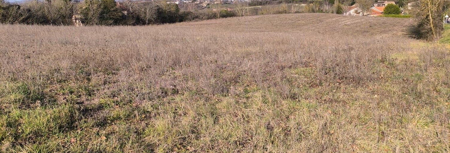 Terrain  10343 m² à vendre à Blaye-les-Mines (81400)