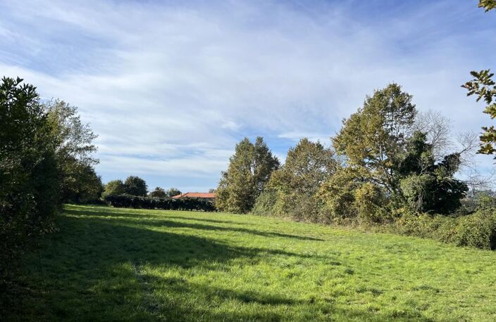 Terrain à viabliser — photo 3