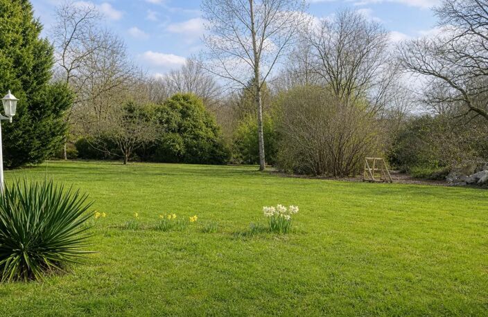 Domaine boisé avec deux maisons à Bueil-en-Touraine — photo 3