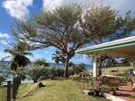 Un art de vivre unique : investissez au soleil des Caraïbes — photo 2