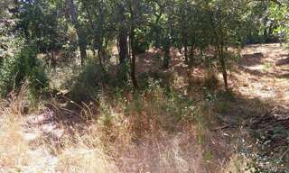 Terrain  1200 m² à vendre à Les Mayons (83340)