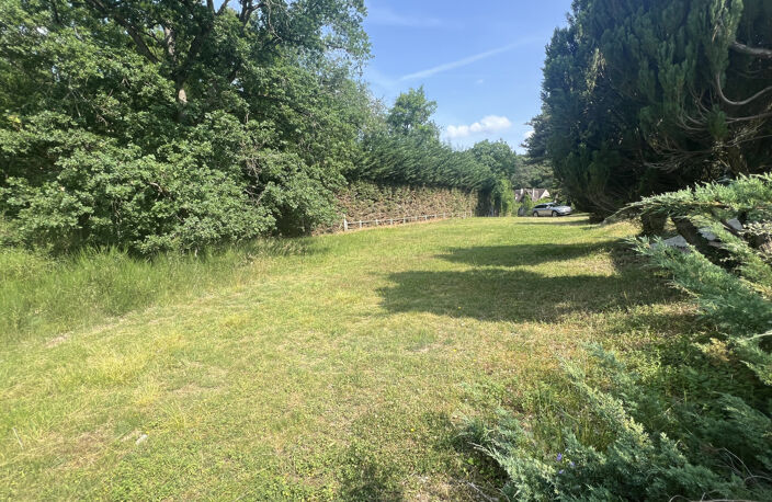 PR0PRIETE SUR 1HA — photo 5