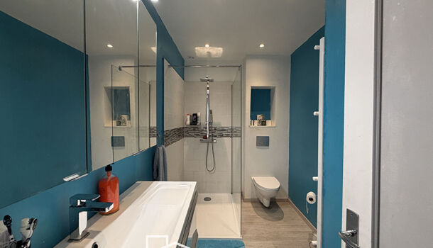 Villa / Maison 8 pièces  à vendre Decazeville 12300